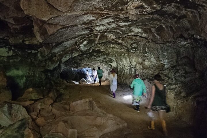 Tour Giant Tortoises, Lava Tunnels & Stop at Los Gemelos Craters”