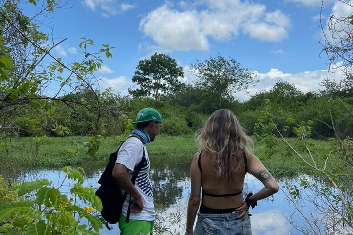 Tour Giant Tortoises, Lava Tunnels & Stop at Los Gemelos Craters”