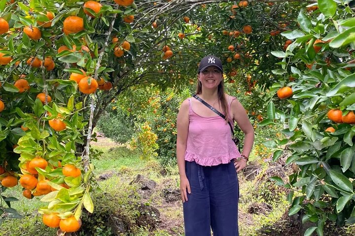 Tour Giant Tortoises, Lava Tunnels & Stop at Los Gemelos Craters”