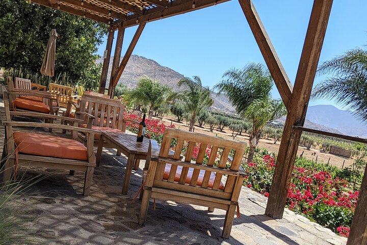 Visite gastronomique et œnologique premium de la vallée de Guadalupe