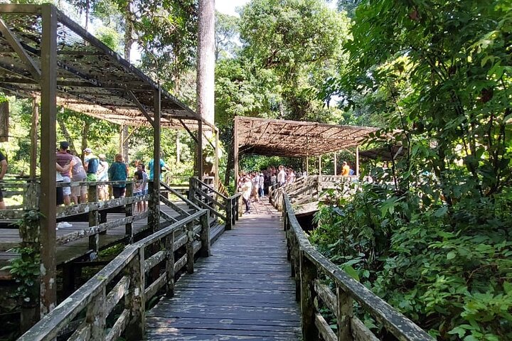 Sepilok Orangutang , SunBear, Proboscisapa från Sandakan City