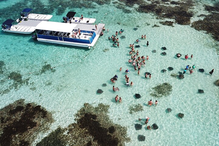 Antigua Stingray Experience with Hotel Pickup & Local Guide