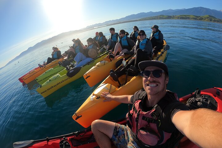 Aventura en kayak con focas en Kaikoura