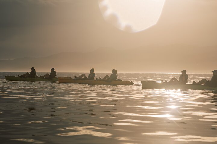Aventura en kayak con focas en Kaikoura
