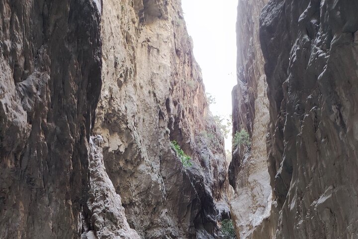 Coches Saklikent Gorge By Safari desde Kas Kalkan (Todo incluido)