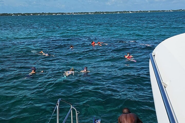 Nassau 3-stops: Snorkeling, Swimming Pigs, Turtles & Lunch