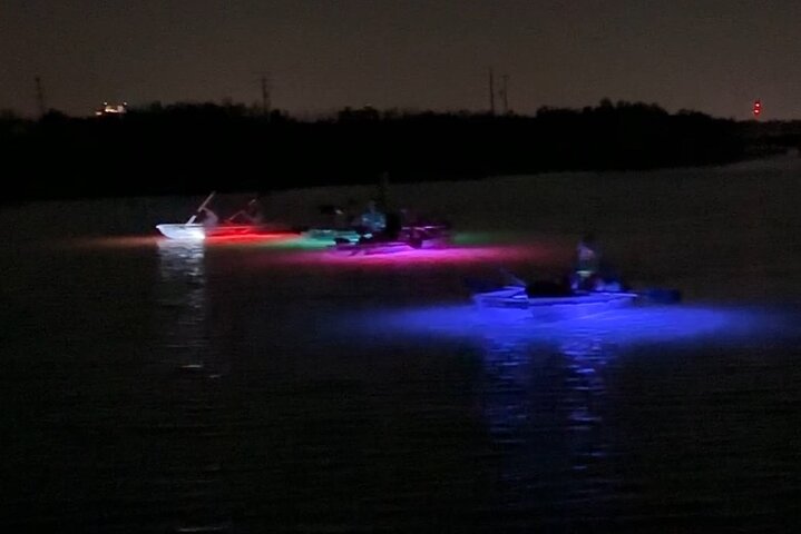 EcoTour guidato dell'isola: kayak CLEAR/Standard, SUP - Bonita Springs