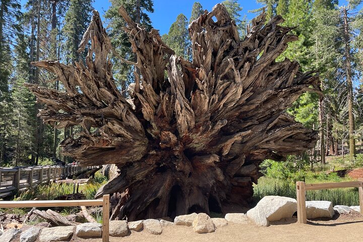 Tour privato del Parco Nazionale di Yosemite e delle Sequoie da San Francisco