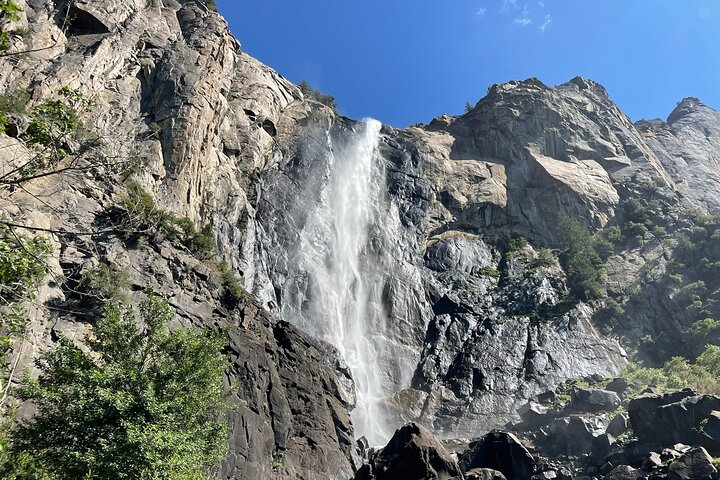 Tour privato del Parco Nazionale di Yosemite e delle Sequoie da San Francisco