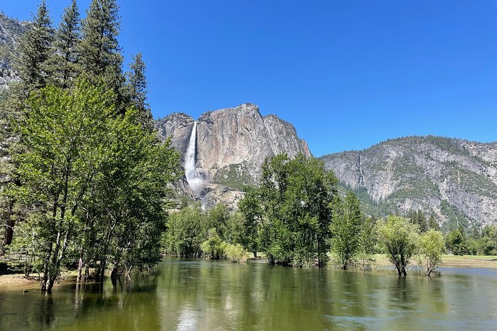 Tour privato del Parco Nazionale di Yosemite e delle Sequoie da San Francisco