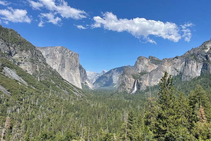 Tour privato del Parco Nazionale di Yosemite e delle Sequoie da San Francisco