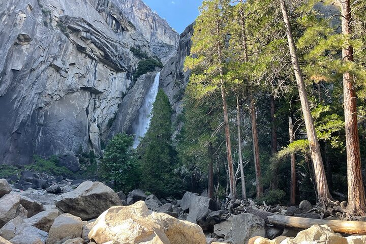 Tour privato del Parco Nazionale di Yosemite e delle Sequoie da San Francisco
