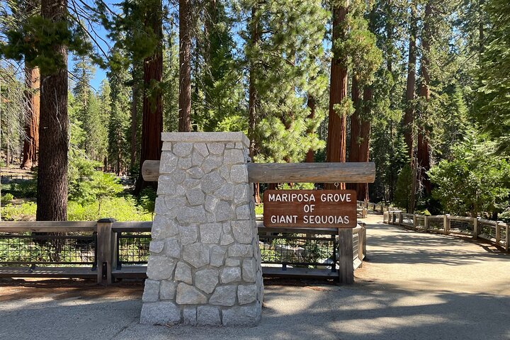 Tour privato del Parco Nazionale di Yosemite e delle Sequoie da San Francisco