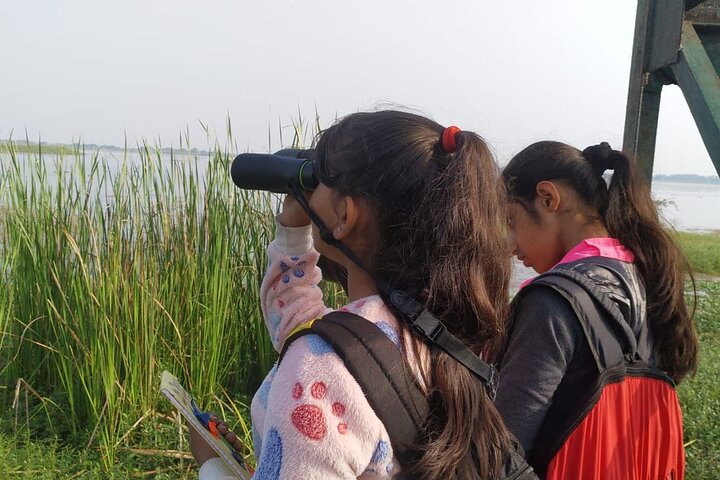 Observación de aves en el Santuario de Vida Silvestre Nandur Madhyameshwar Nashik