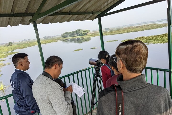 Observación de aves en el Santuario de Vida Silvestre Nandur Madhyameshwar Nashik