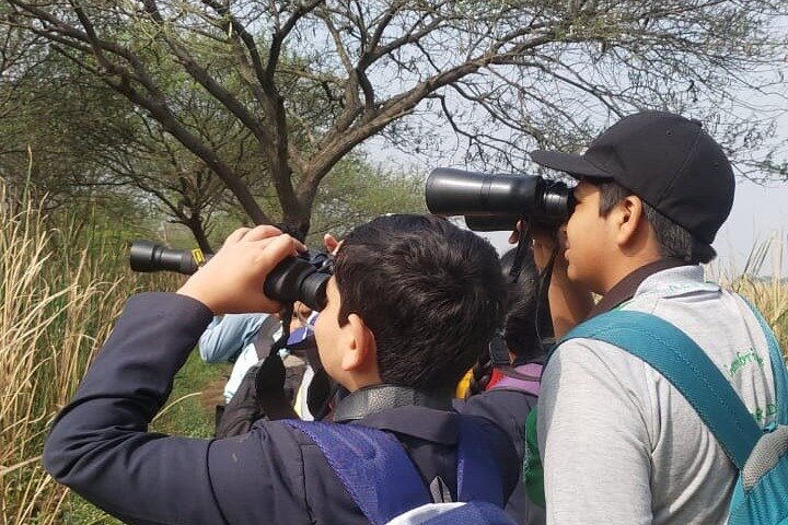 Observación de aves en el Santuario de Vida Silvestre Nandur Madhyameshwar Nashik