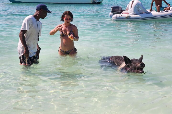 Nassau 3-stops: Snorkeling, Swimming Pigs, Turtles & Lunch