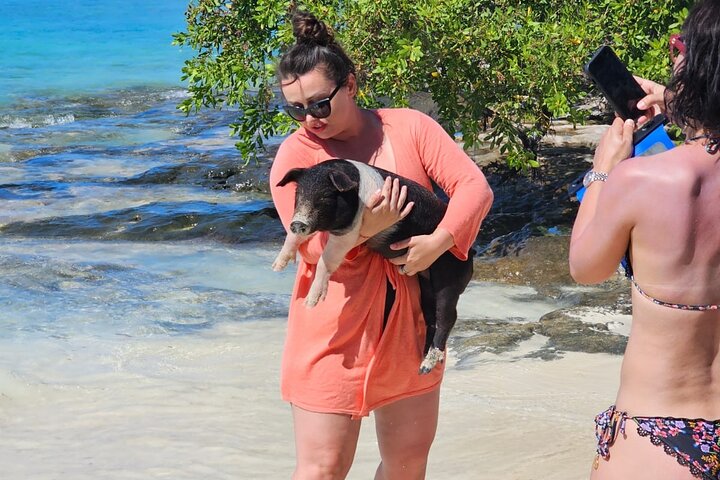 Nassau 3-stops: Snorkeling, Swimming Pigs, Turtles & Lunch