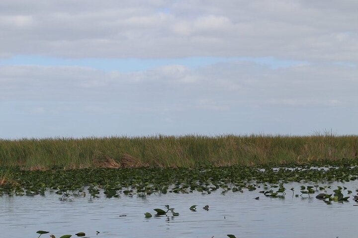 Everglades Small-Group Tour from Miami with Transportation