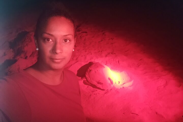 Sea Turtle Nesting Observation on Sal Island