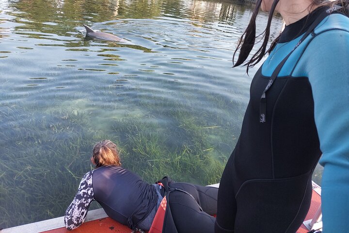 Natación de manatí todo incluido para grupos pequeños de 3 horas con foto gratis pkg