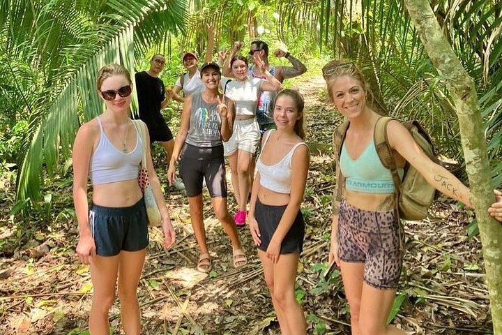 Experiencia de caminata y yoga en la jungla en México