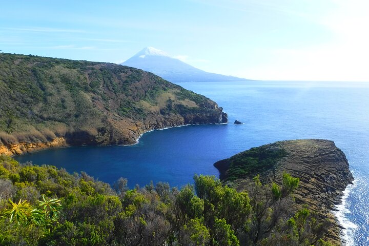 Horta, Faial: 1-dagstur med Capelinhos, Caldeira och lokal guide