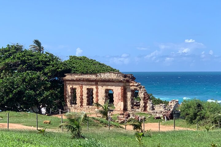 Sightseeing hop-on hop-off tour in het westen van Puerto Rico