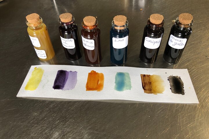 Introduzione privata al colore delle piante a Forcalquier in Provenza
