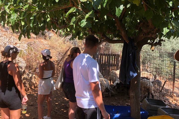 Autentisk kretisk matlaging klasse og gård erfaring i Chania, Kreta