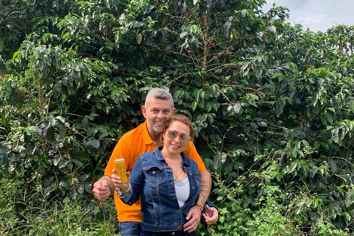 Tour zur Kaffeefarm und zu den heißen Quellen von Santa Rosa ab Pereira oder Armenien