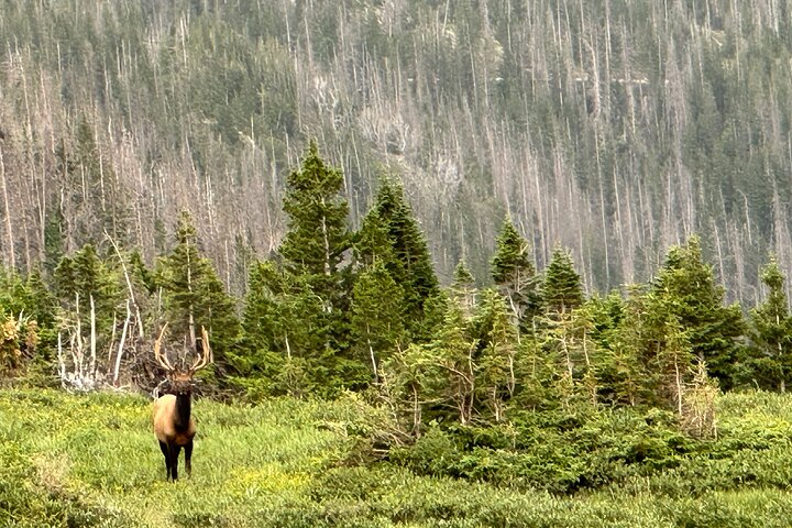 Einziehbare Glas Top Tours von RMNP von Purple Points Tour Company