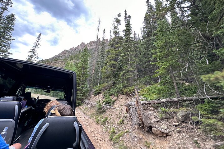 Einziehbare Glas Top Tours von RMNP von Purple Points Tour Company