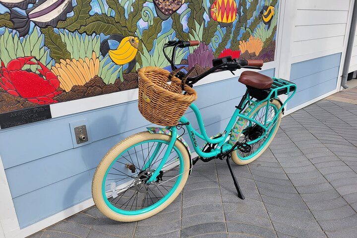 Tour guidato in bici elettrica di Pismo Beach, Shell Beach e Avila Beach