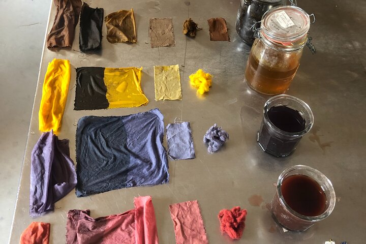 Introduzione privata al colore delle piante a Forcalquier in Provenza