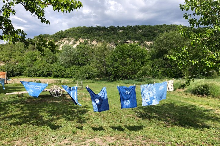 Introduzione privata al colore delle piante a Forcalquier in Provenza