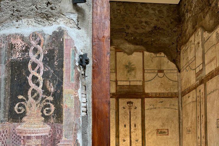 PompeiI Exclusive Tour with your Archaeologist in a Small Group