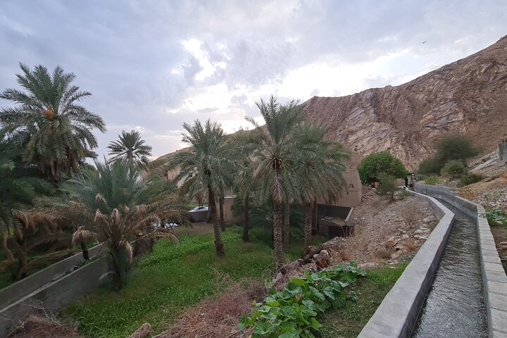 Bergen & Forten – Privé dagtour naar Nizwa & Jebel Akhdar