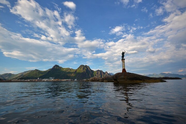 Lofoten RIB Sea Eagle Safari and Trollfjord Cruise