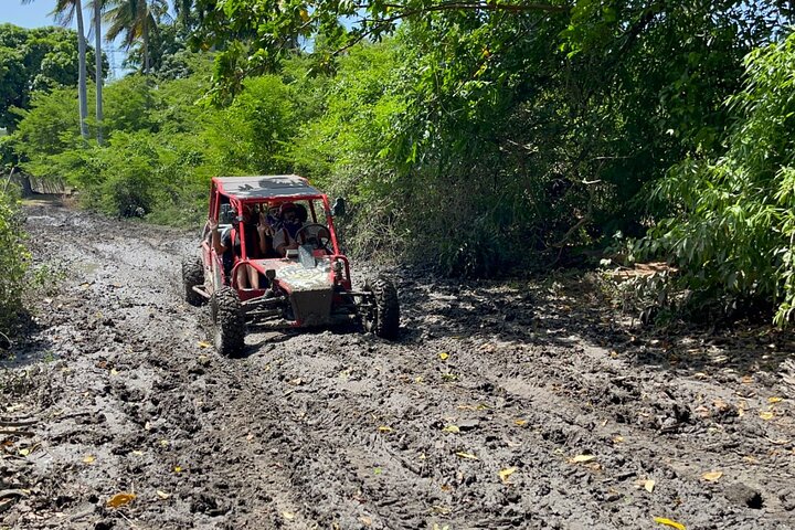 Halvdagsbuggy guidat äventyr för Amber Cove och Taino Bay