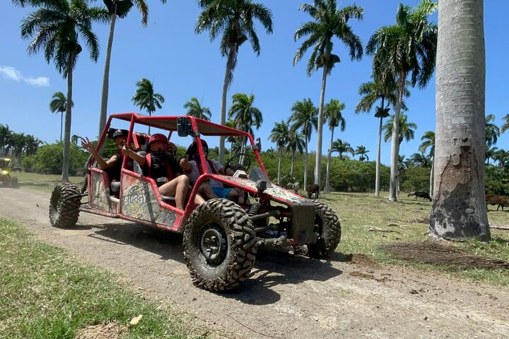Halvdagsbuggy guidat äventyr för Amber Cove och Taino Bay
