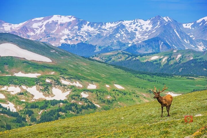 Selbstgeführte Audio-Fahrttour im Rocky Mountain National Park