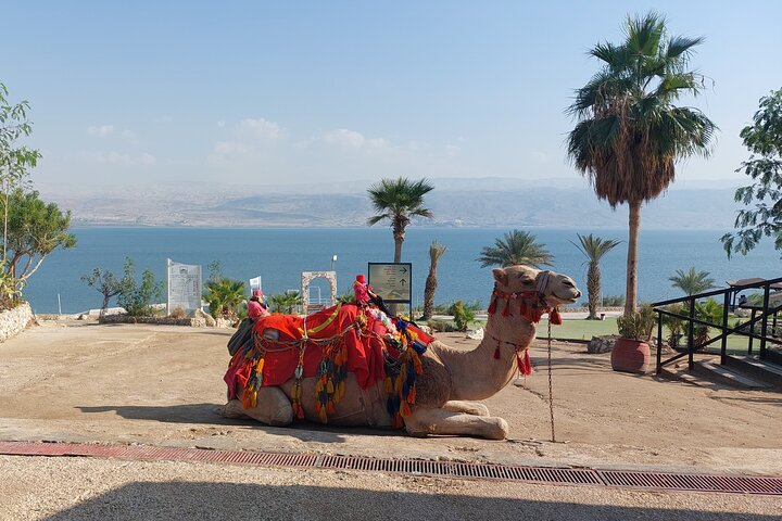 Das Beste vom Heiligen Land in 5 Tagen – Israels Highlights Private Tour