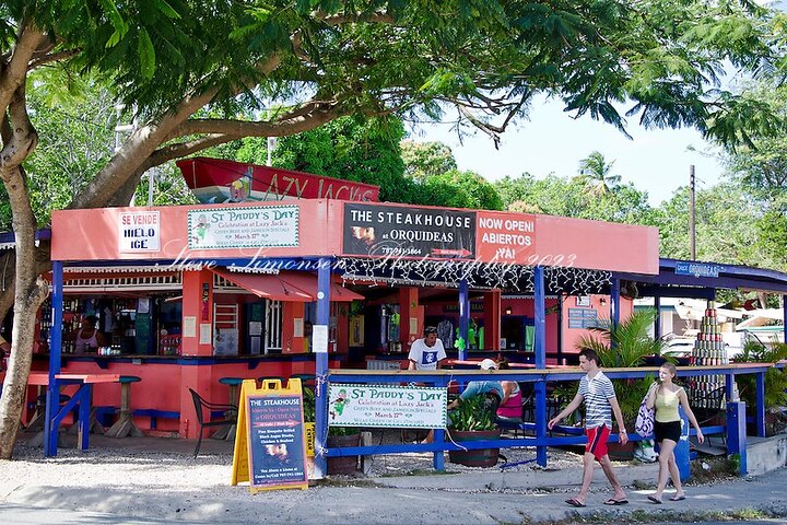 Vieques Bio Bay Tour och stranddagstur från San Juan med färja
