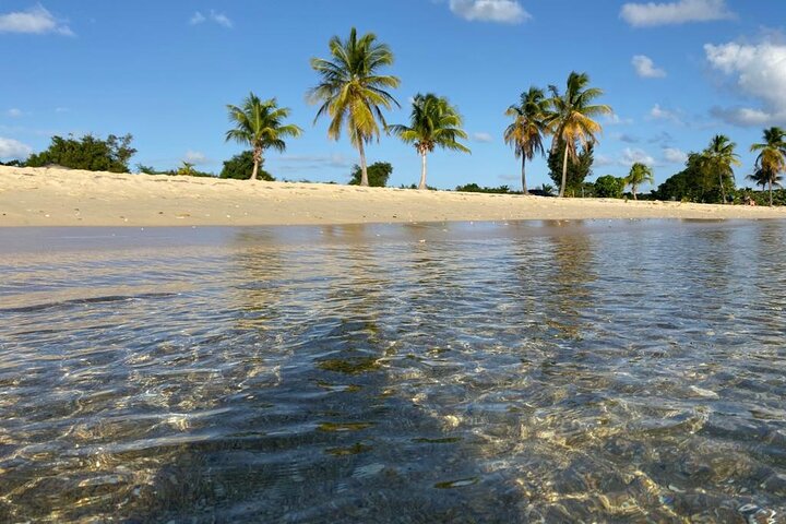 Vieques Bio Bay Tour och stranddagstur från San Juan med färja