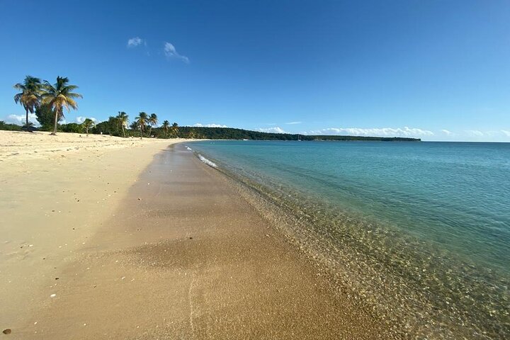 Vieques Bio Bay Tour och stranddagstur från San Juan med färja