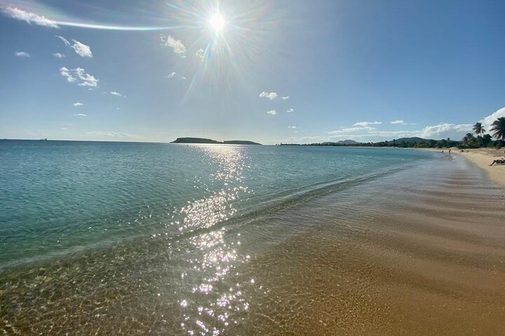 Vieques Bio Bay Tour och stranddagstur från San Juan med färja