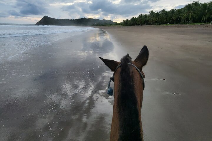 Dschungel und Strand Reittour - 2H 1/2