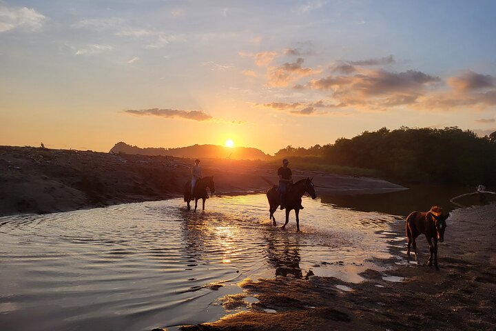 Dschungel und Strand Reittour - 2H 1/2