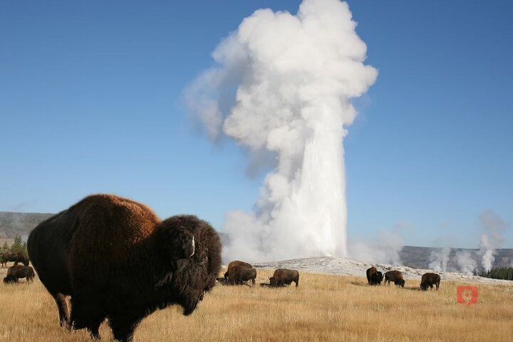 Självguidad ljudkörtur i Yellowstone och Grand Teton